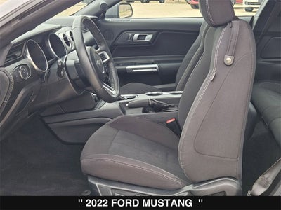 2022 Ford Mustang EcoBoost