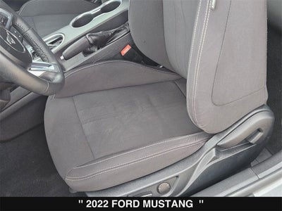 2022 Ford Mustang EcoBoost