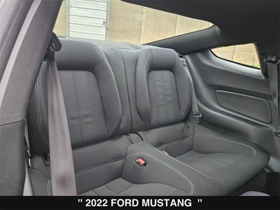 2022 Ford Mustang EcoBoost