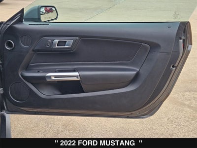 2022 Ford Mustang EcoBoost