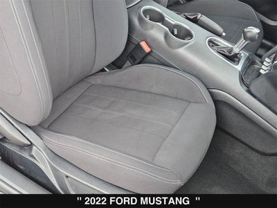 2022 Ford Mustang EcoBoost