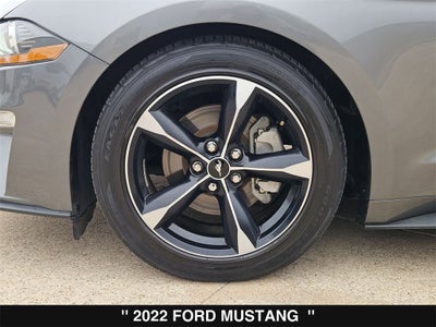 2022 Ford Mustang EcoBoost