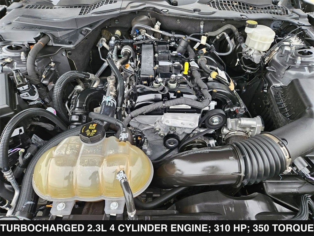 2022 Ford Mustang EcoBoost