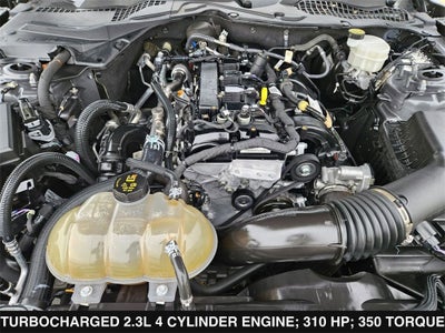 2022 Ford Mustang EcoBoost