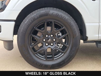 2025 Ford F-150 STX