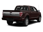 2014 Ford F-150 Platinum