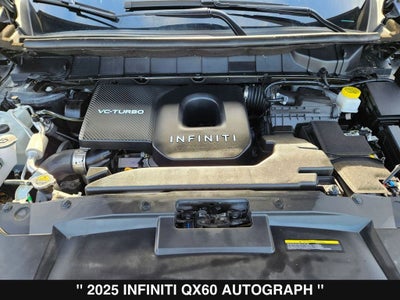 2025 INFINITI QX60 Autograph